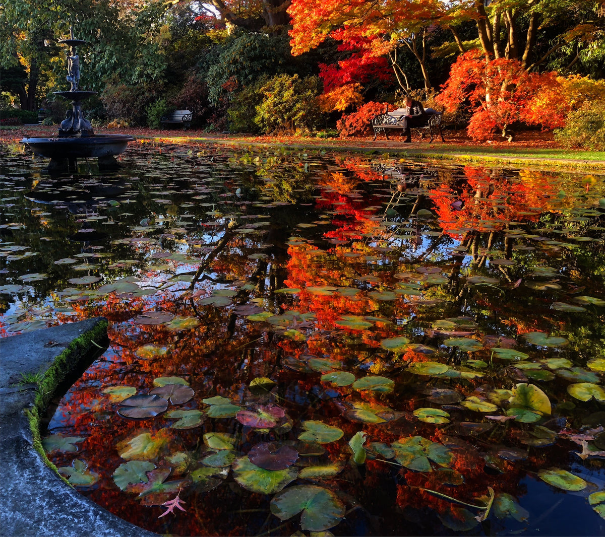 Christchurch Botanical Gardens