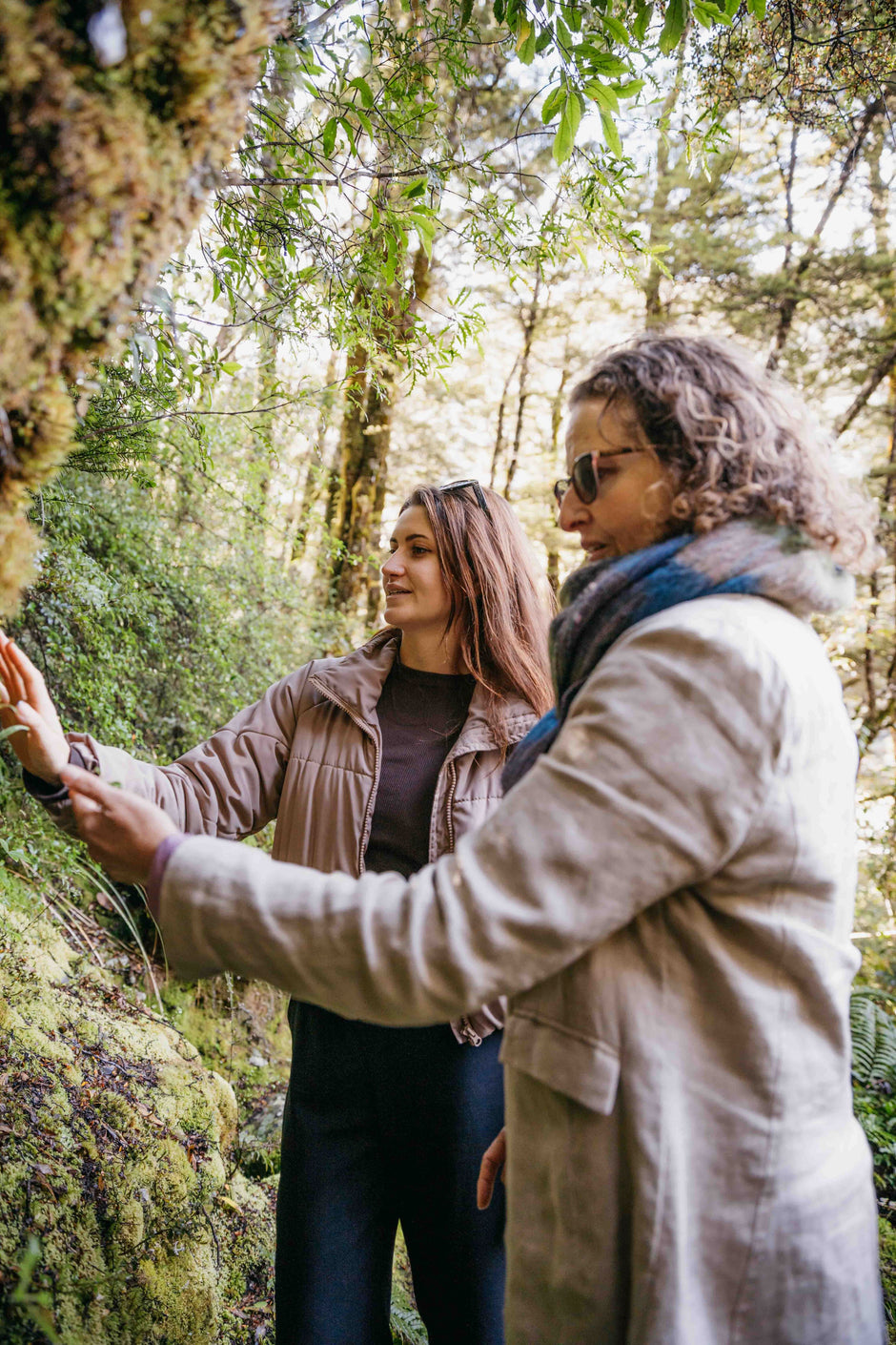 Guests looking at mossy bank, Arthurs Pass