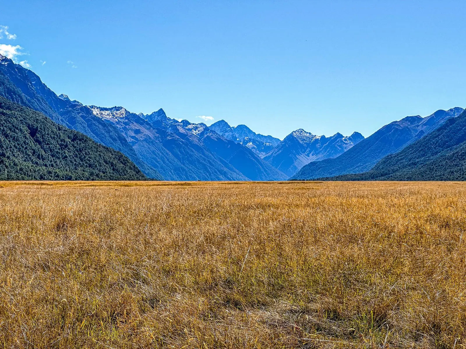 River plains looking into Southern Alps