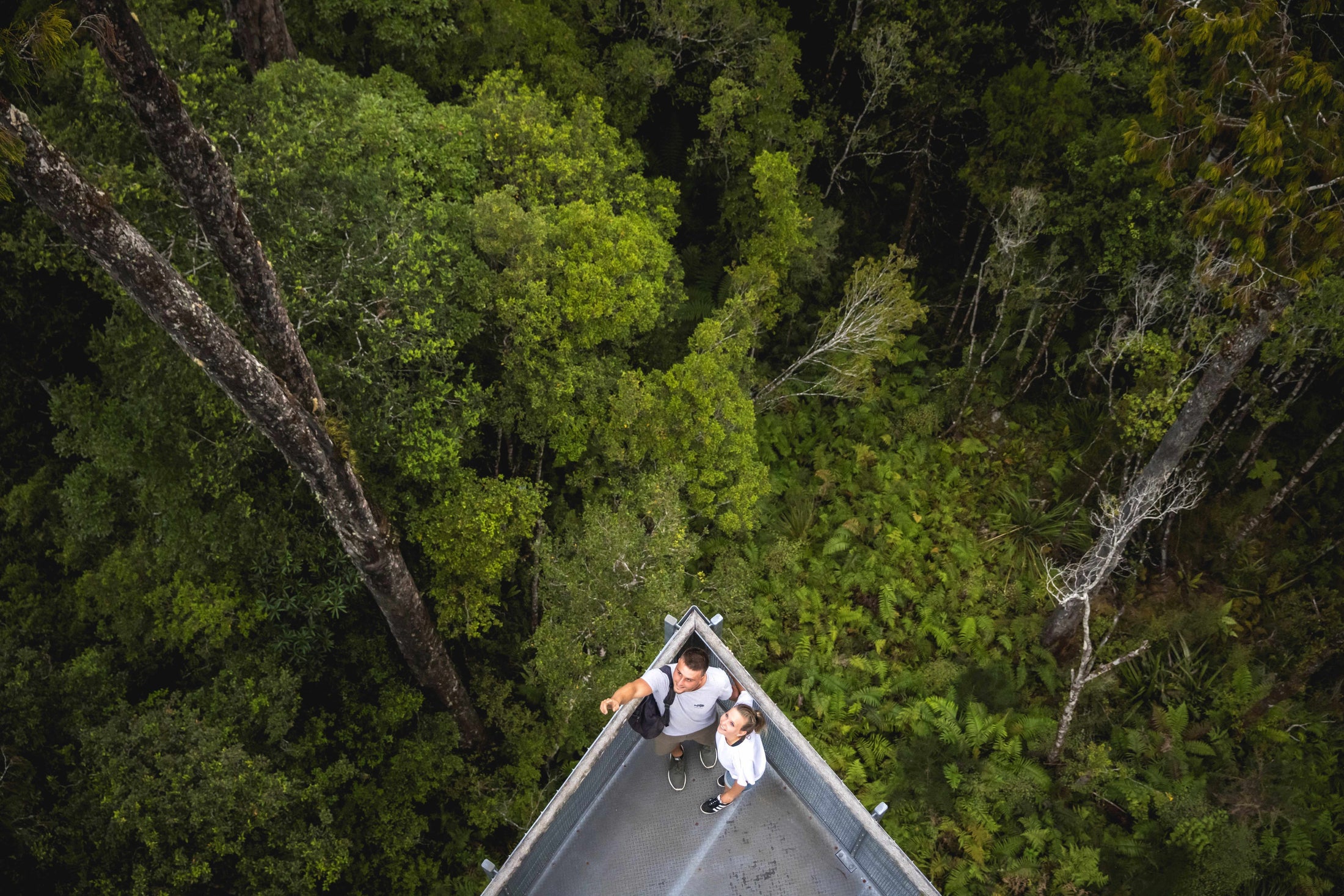 West Coast tree walk