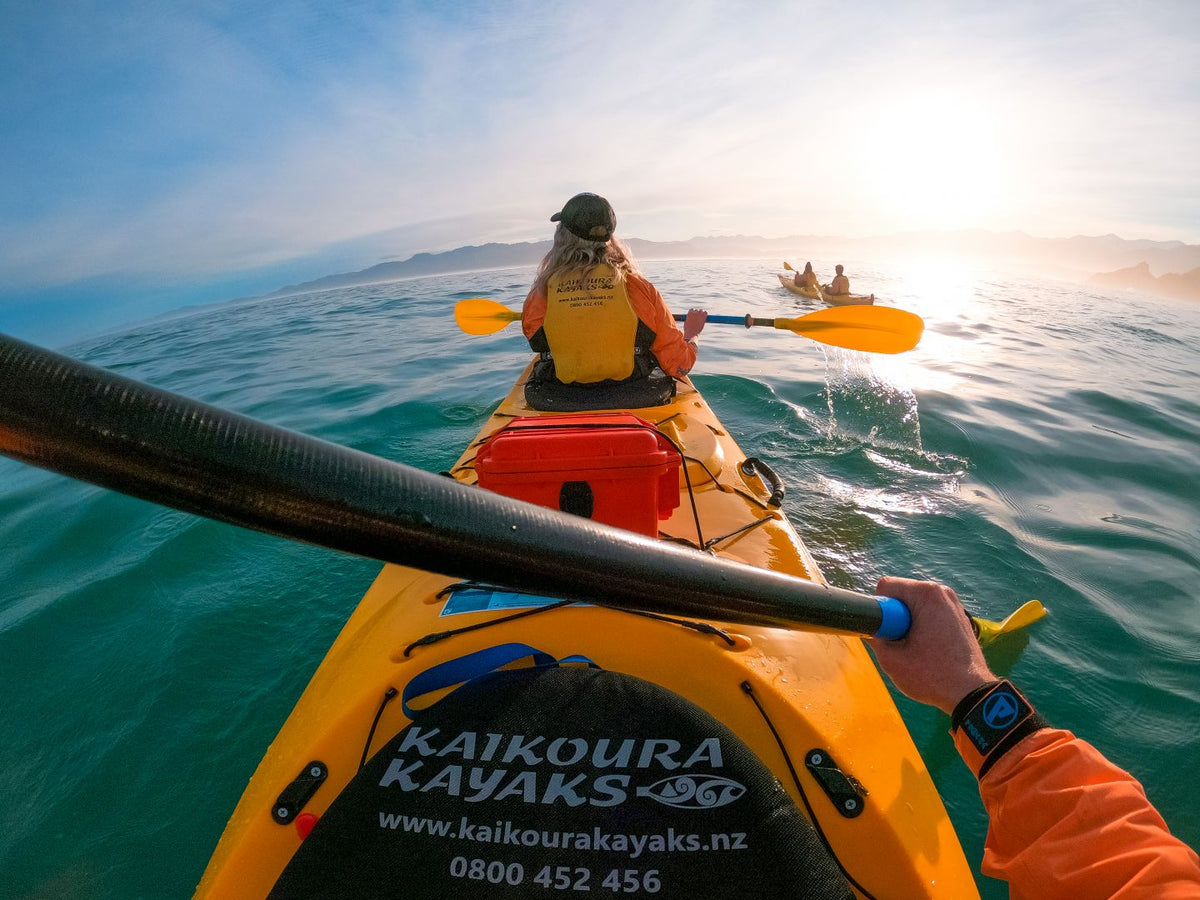 kayaks kaikoura