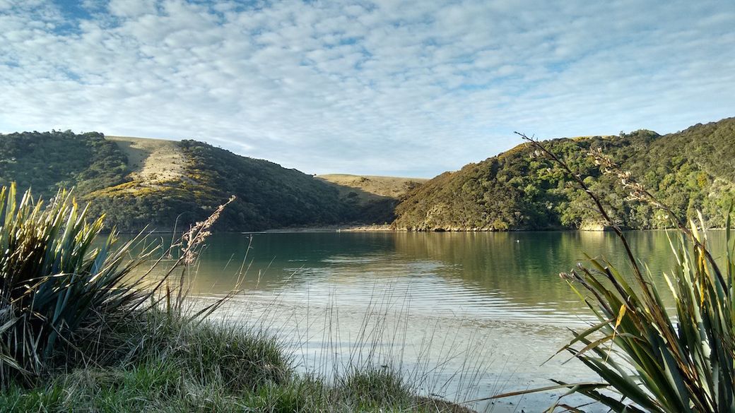 Harbour near Dunedin